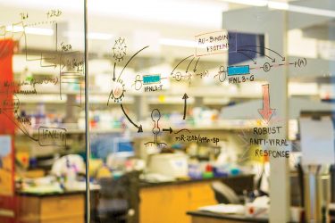 michael gale, immunology, zika