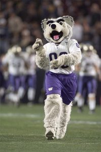 Like any hero, Harry the Husky has an origin story | UW Magazine ...