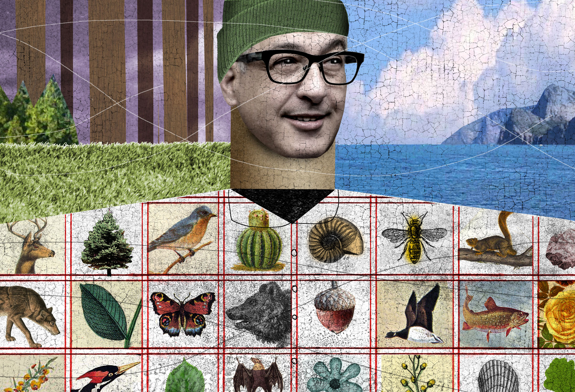 Collage of images featuring David Plunkert smiling, a green grassy field, a seascape, and a grid of animals and plants, including a bear, a goose, a bee and a tree.