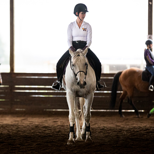 A woman in a UW jacket rides a white horse in a covered barn