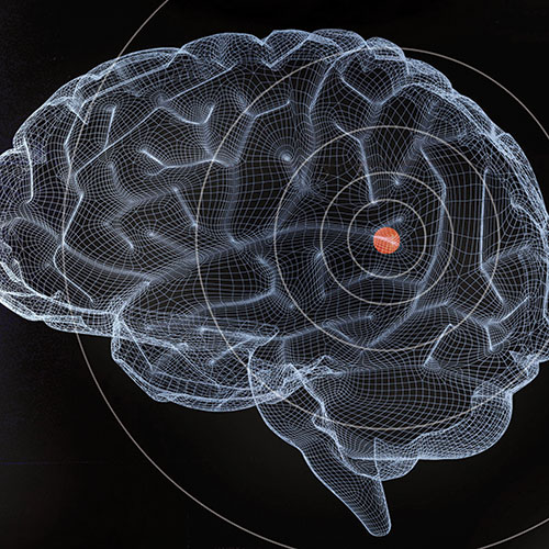 Brain could play a key role in diabetes | UW Magazine — University of ...