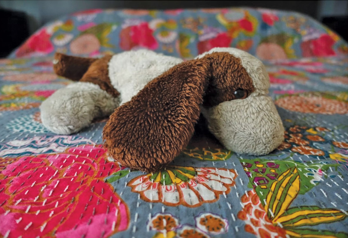 A worn brown and white stuffed dog on a colorful bedspread