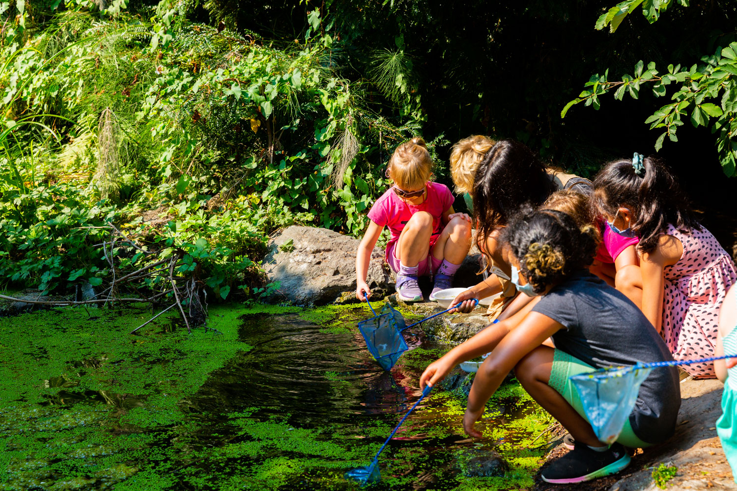 Children with nets near a body of water