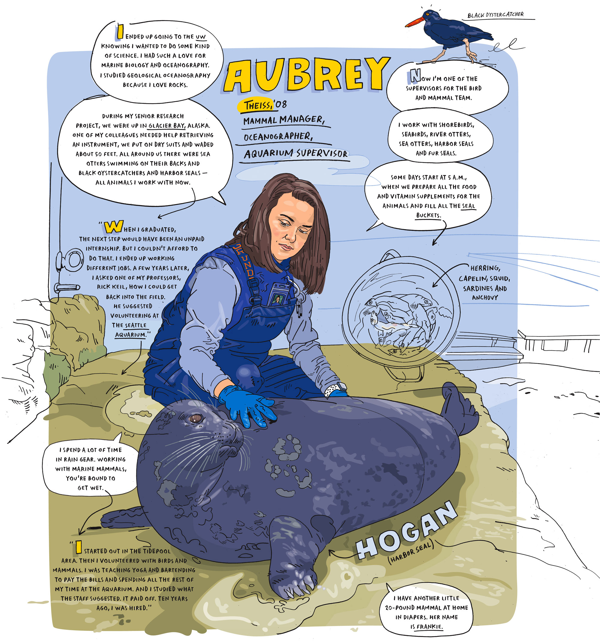 Line drawing of a brunette woman in waders examining a harbor seal featuring a bucket of fish and a black oyster catcher bird.