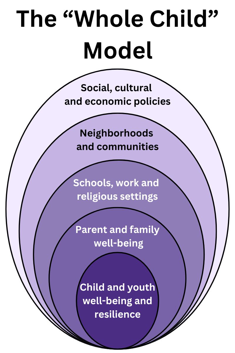 A diagram showing a hierarchy of care for children, beginning with the child, then parents, then school or work, then neighobrhoods, then cultural policies.