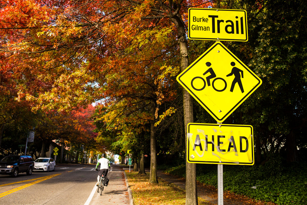 On a fall day, a cyclist rides in an unprotected bike lane near the UW.