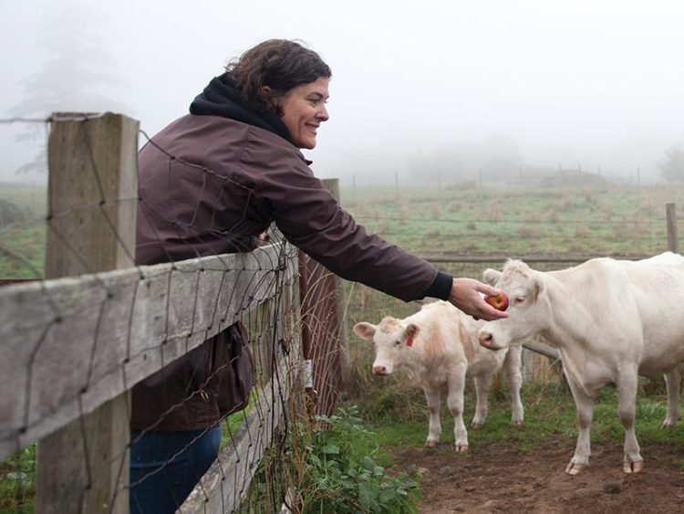 Renee Erickson feeds an apple to cows in a pasture
